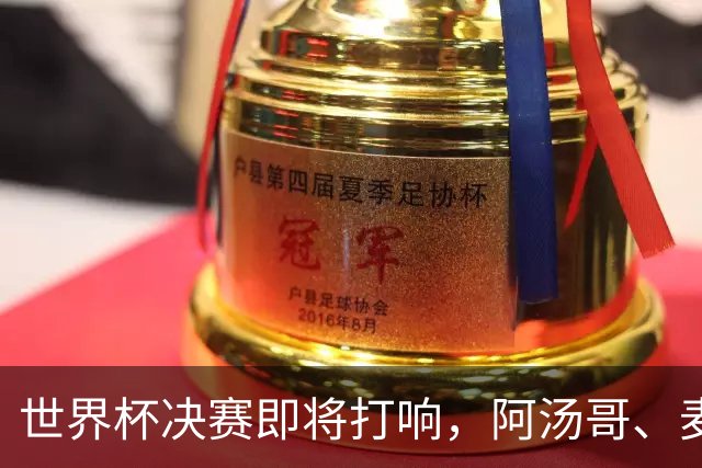 世界杯决赛即将打响，阿汤哥、麦当娜、夏奇拉、比伯等巨星已确定出席表演，执行制片人：演出汇集全球顶尖艺人，希望能代表整个世界