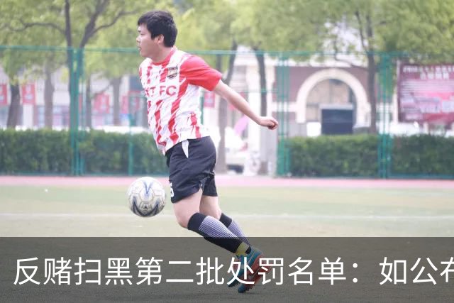 反赌扫黑第二批处罚名单：如公布 应与准入同步
